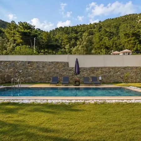 11 *
